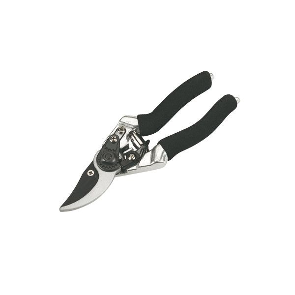 Secateurs