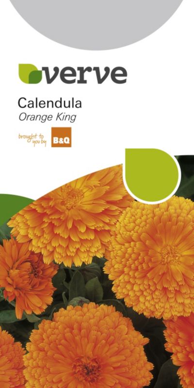 BampQ Calendula Orange King Orange