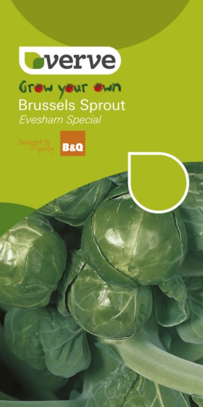 B&Q Brussels Sprout Evesham Special