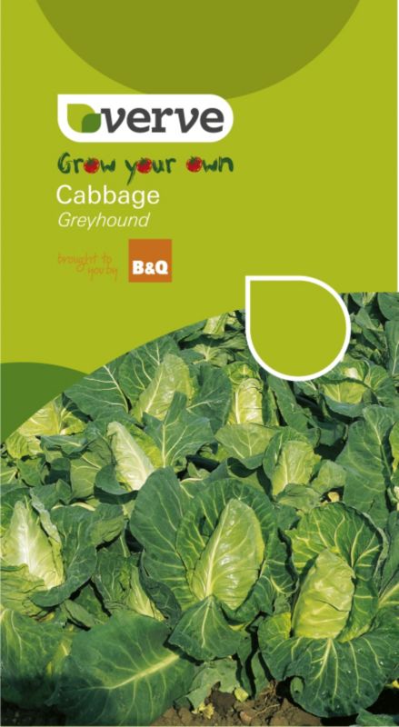 Verve Grow Your Own Cabbage Greyhound