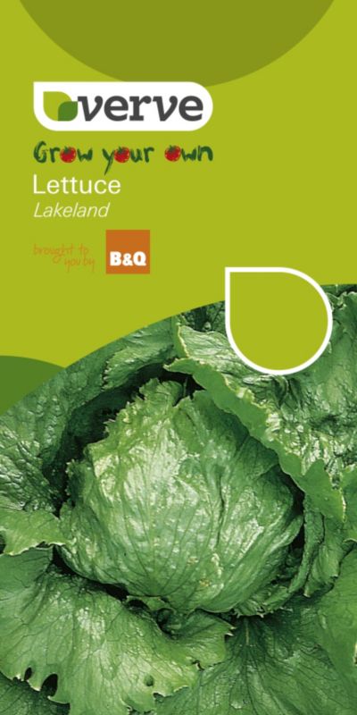 Verve Grow Your Own Lettuce Lakeland
