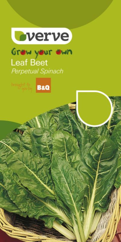 Verve Grow Your Own Leaf Beet Perpetual Spinach