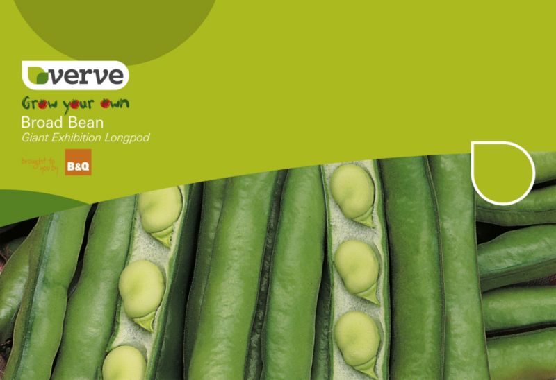 Verve Grow Your Own Broad Bean Giant Exhibition Longpod