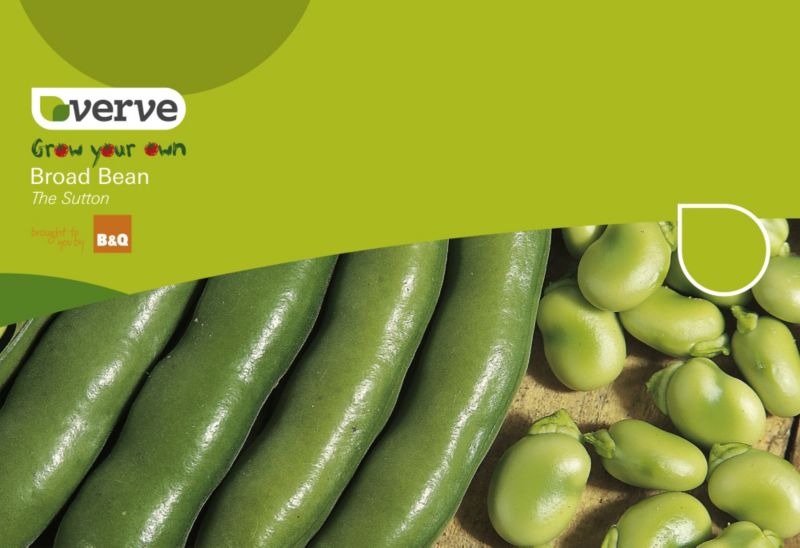 Verve Grow Your Own Broad Bean The Sutton
