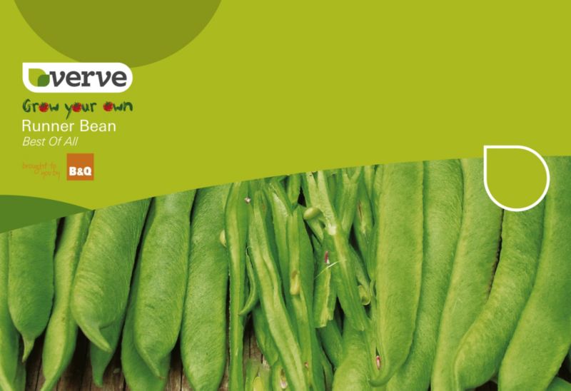 Verve Grow Your Own Runner Bean Best Of All