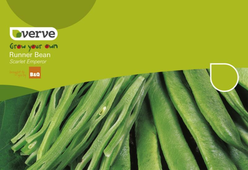 Verve Grow Your Own Runner Bean Scarlet Emperor