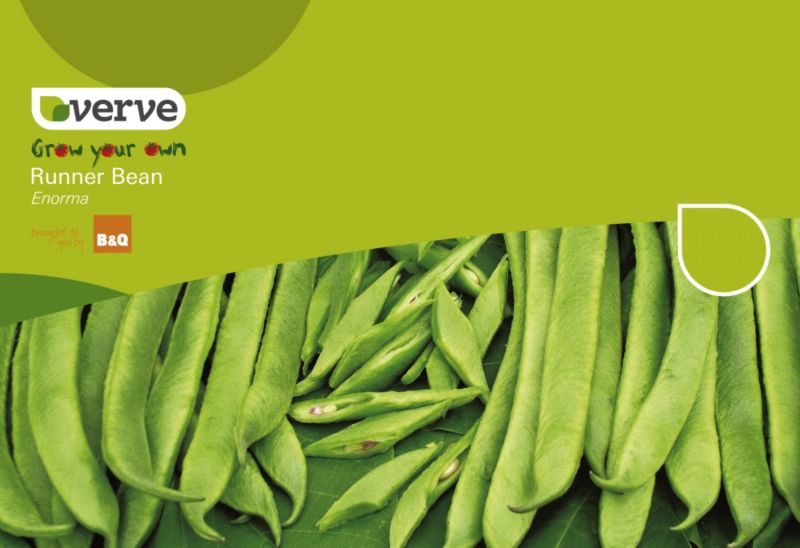 Verve Grow Your Own Runner Bean Enorma