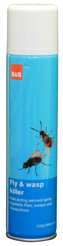 BandQ Fly and Wasp Killer 300ml