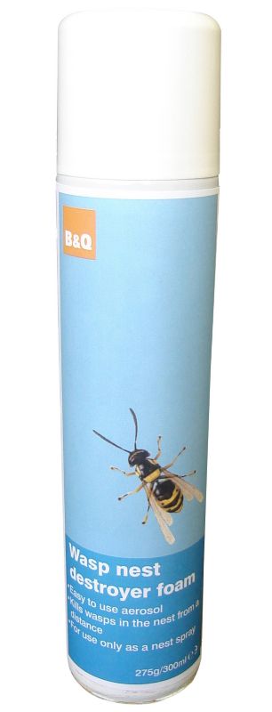 BandQ Wasp Nest Destroyer Foam 300ml