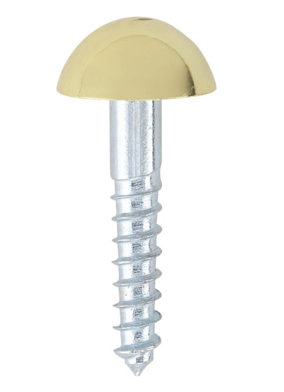 BampQ Mirror Screw Dome Head Brass Head W8 x L25mm