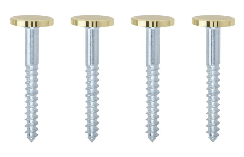 BampQ Mirror Screw Disk Head Brass Head W8 x L38mm