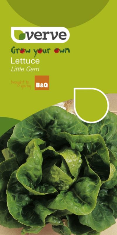 Verve Grow Your Own Lettuce Little Gem
