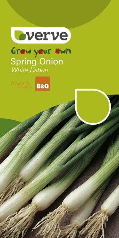 B&Q Onion White Lisbon