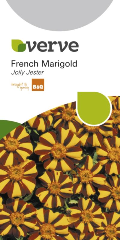 BampQ French Marigold Jolly Jester Mahogany Flowers Striped Yellow