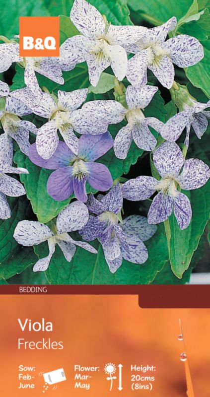 Bandq Viola Freckles Speckled Blue