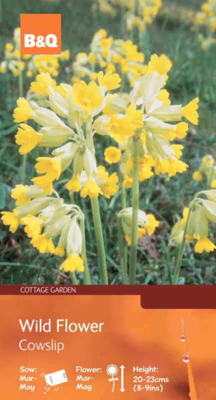 Bandq Wild Flower Cowslip Yellow