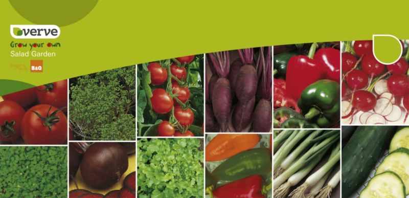 Verve Grow Your Own Salad Garden