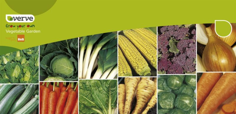 Verve Grow Your Own Vegetable Garden