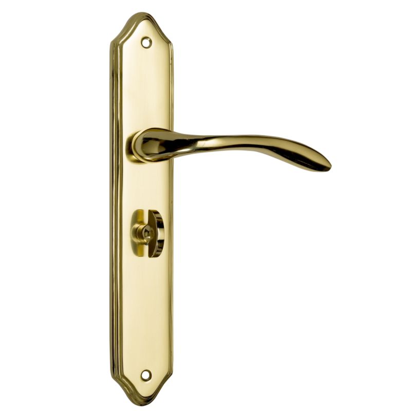BandQ Select Bathroom Door Handles Polished Brass Effect