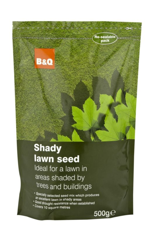 BandQ Shady Lawn Seed 500g