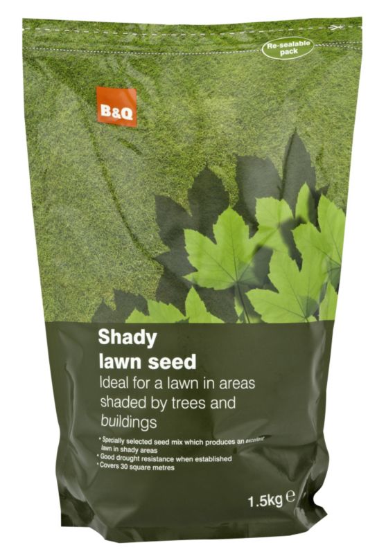 BandQ Shady Lawn Seed 15Kg