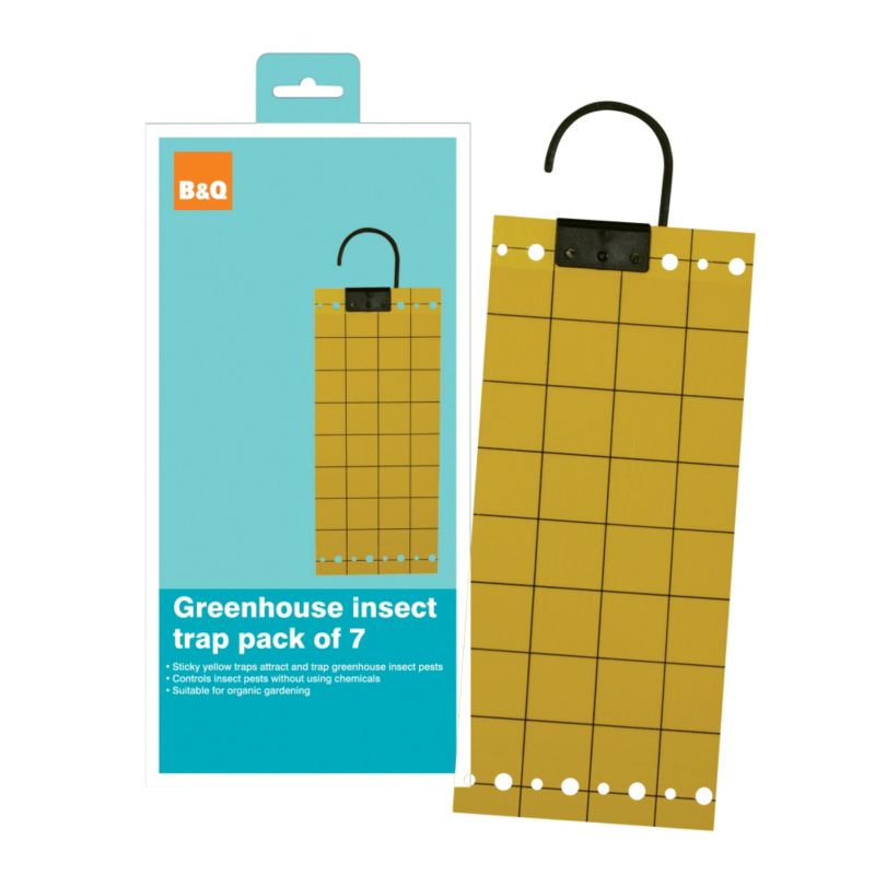 BandQ GREENHOUSE INSECT TRAPS