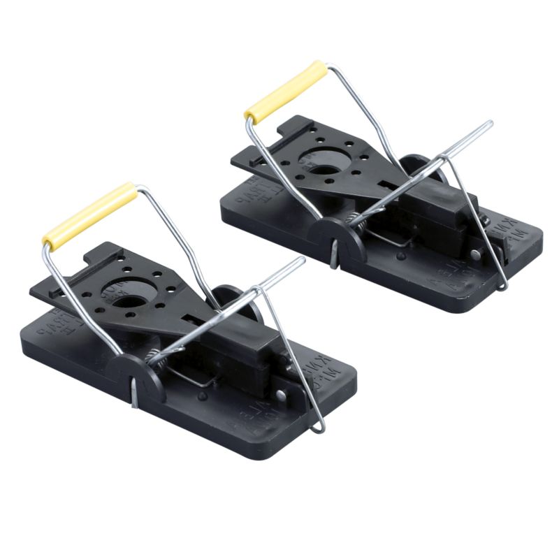 BandQ Advanced Mouse Traps Twinpack