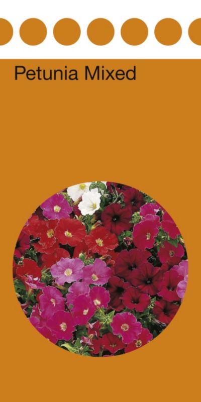 Value Petunia Assorted Colour