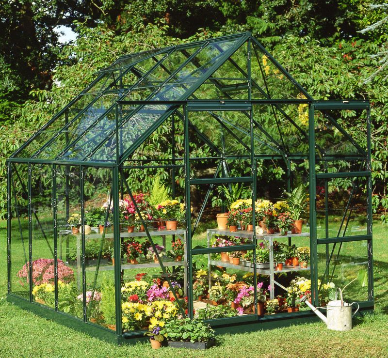 BandQ Double Door Greenhouse With Horticultural Glass and Base Green Painted Finish - 8 x 8 Model