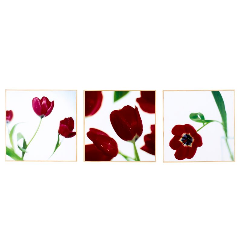 Colours by BampQ Set Of 3 Floral Box Art