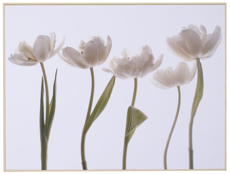 Colours by BampQ Block Mounted Oak Effect Framed Print Five Flowers H61 x W81cm