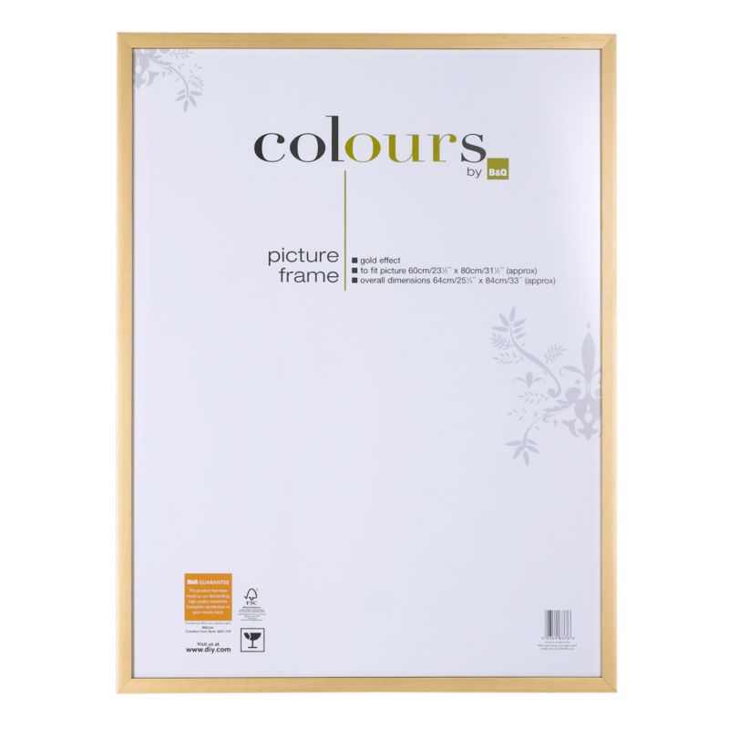 Colours by B&Q Picture Frame Gold Effect (H)84 x (W)64cm