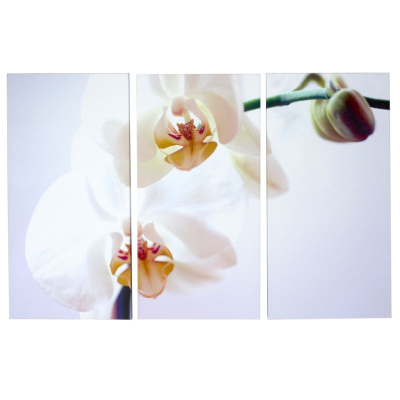 Colours by BampQ Printed Canvas White Orchid Triptych Pink H58 x W87cm