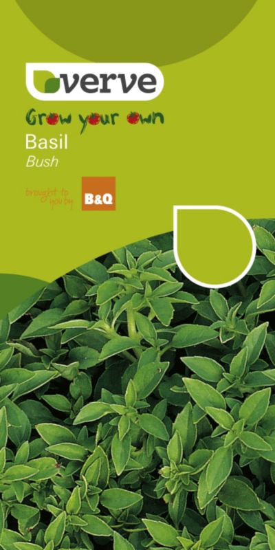 Verve Grow Your Own Herb Basil Bush