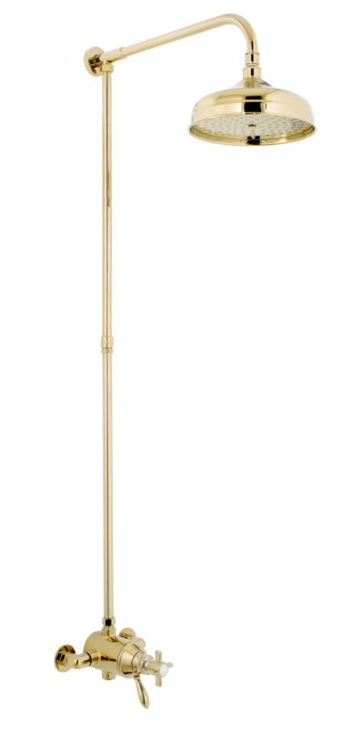 Timeless Mixer Shower Gold Effect