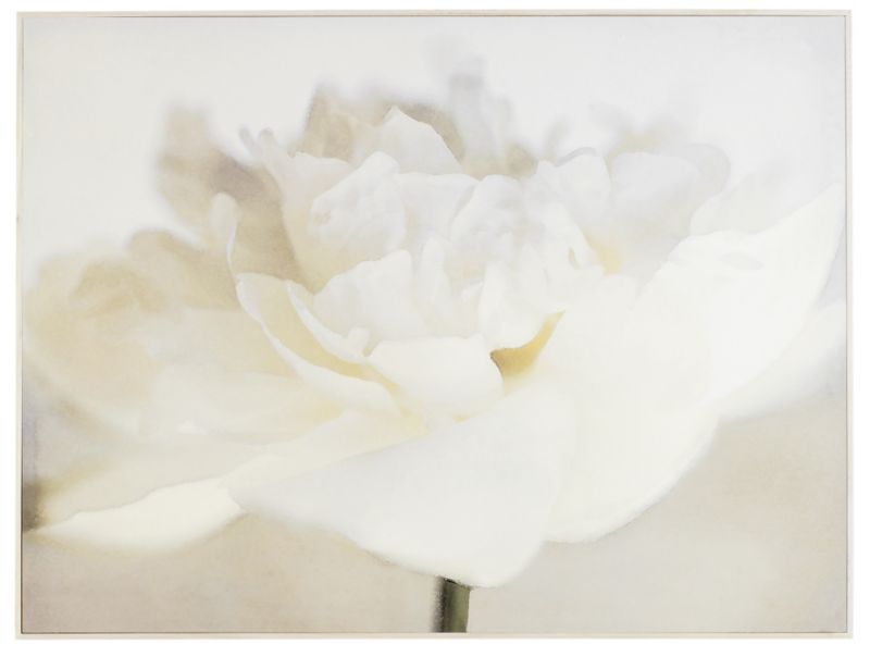 Colours by BampQ Cream Watercolour Peony In a Light Frame