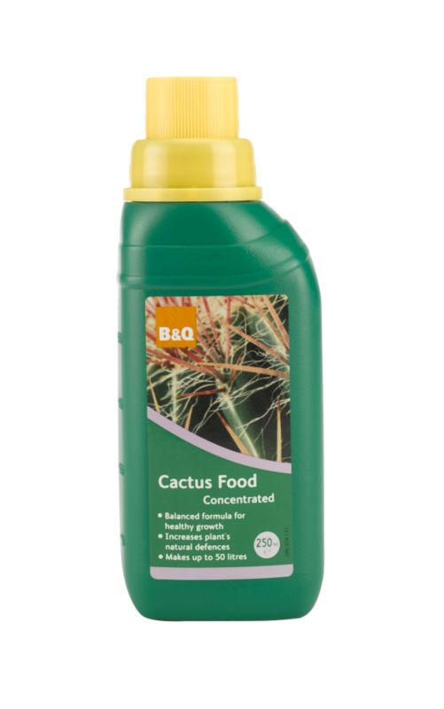 B&Q Cactus Food Concentrated F700010 Green