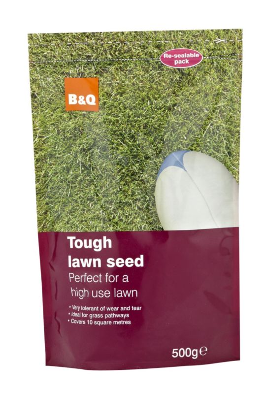BandQ Tough Lawn Seed 500g