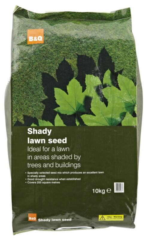 BandQ Shady Lawn Seed 10kg