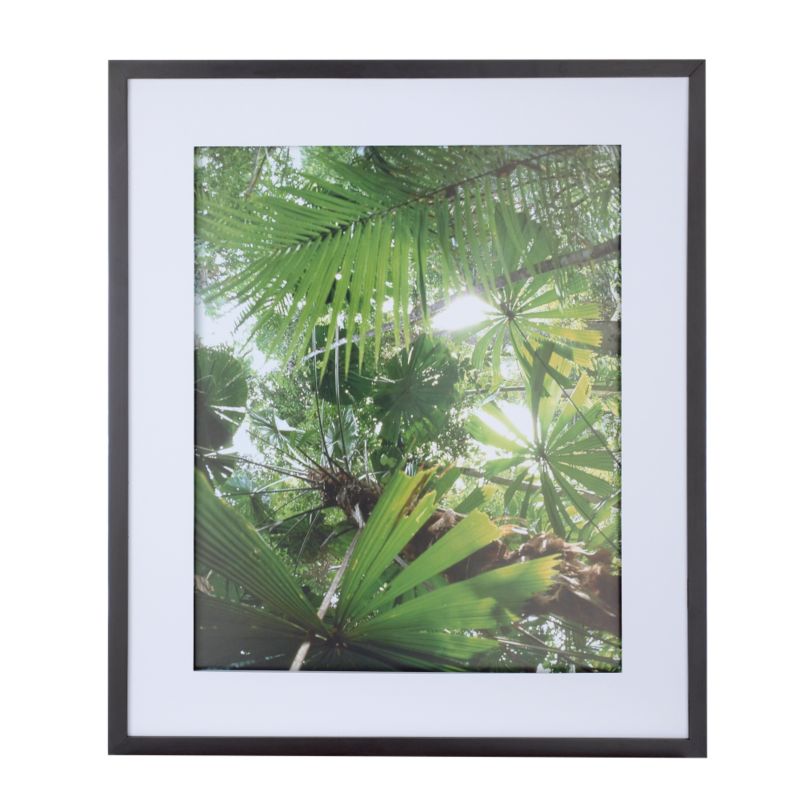 Colours by BampQ Foliage Framed Print 73x53cm
