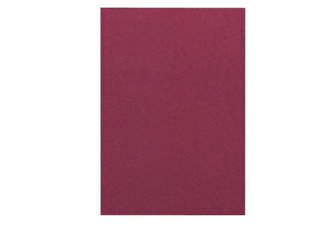 Cooke and Lewis Kitchens Cooke and Lewis Gloss Aubergine Accent Pack B Standard Door 500mm