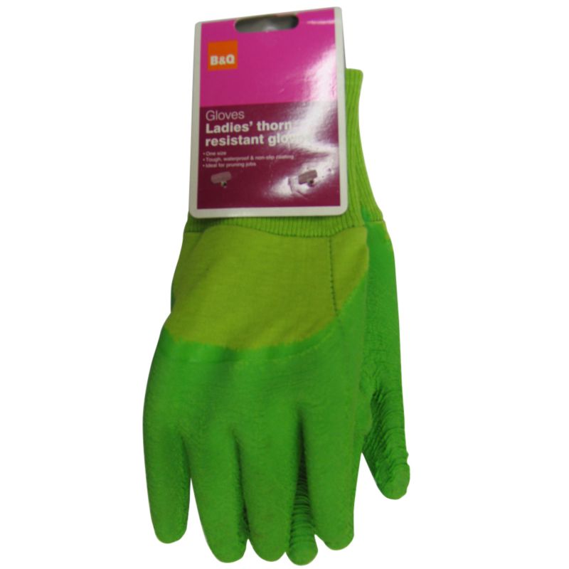 BandQ Ladies Thorn Resistant Gloves