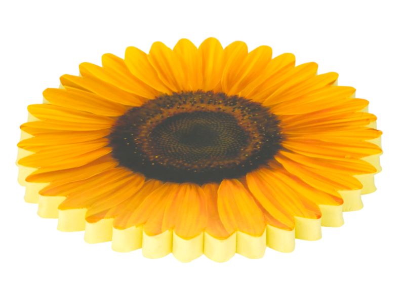BandQ Sunflower Kneeling Cushion