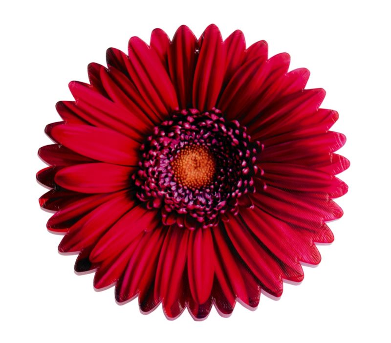 BandQ Gerbera Kneeling Cushion