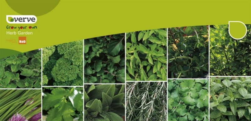 Verve Grow Your Own More 4 Less Herb Garden