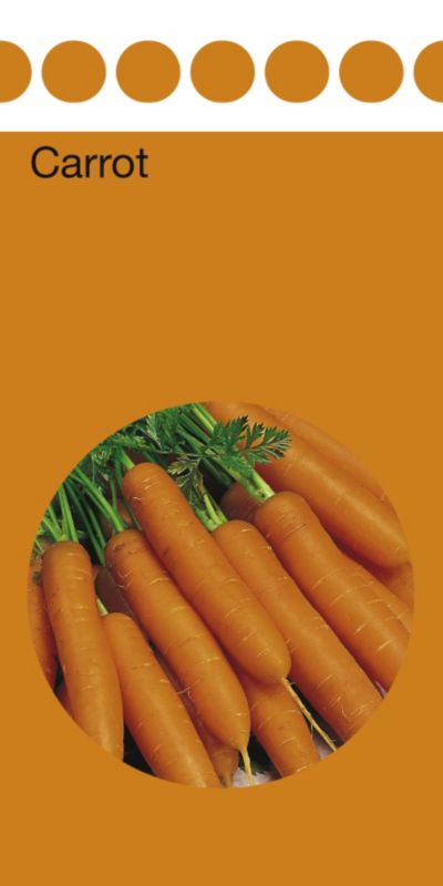 Value Carrot Amsterdam 3