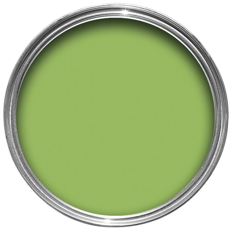 BandQ Funky Colours Matt Grasshopper 25L