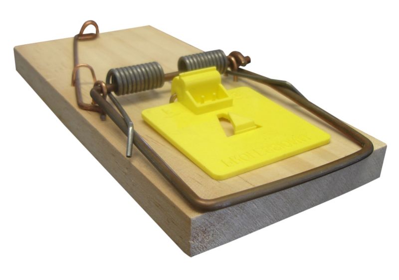 BandQ Value Rat trap
