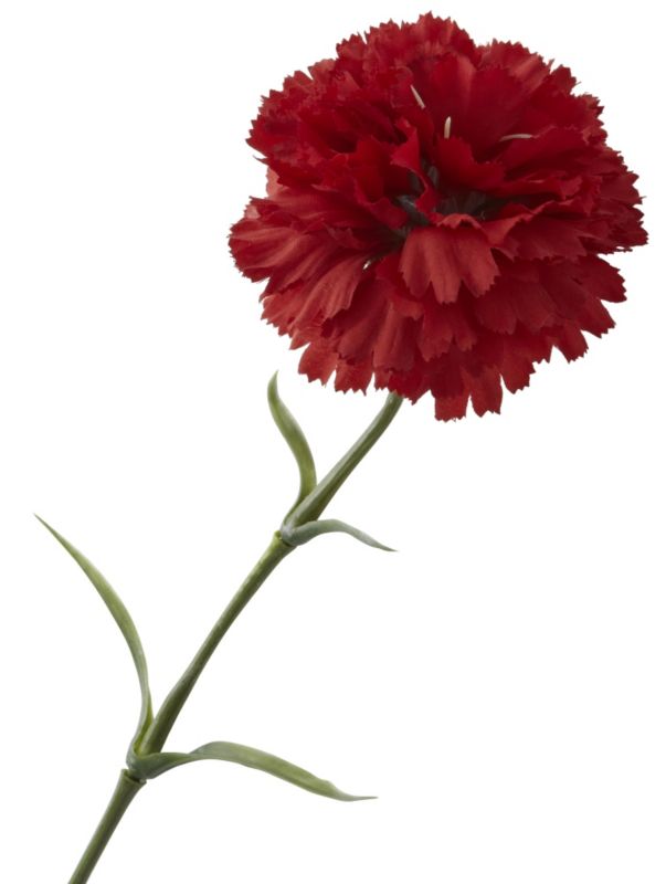 Carnation Spray Red