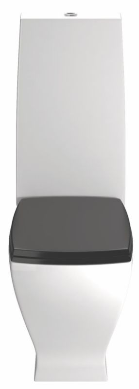 Save on this Cooke & Lewis Antonio Close-Coupled Toilet with Black Gloss Soft Close Seat
